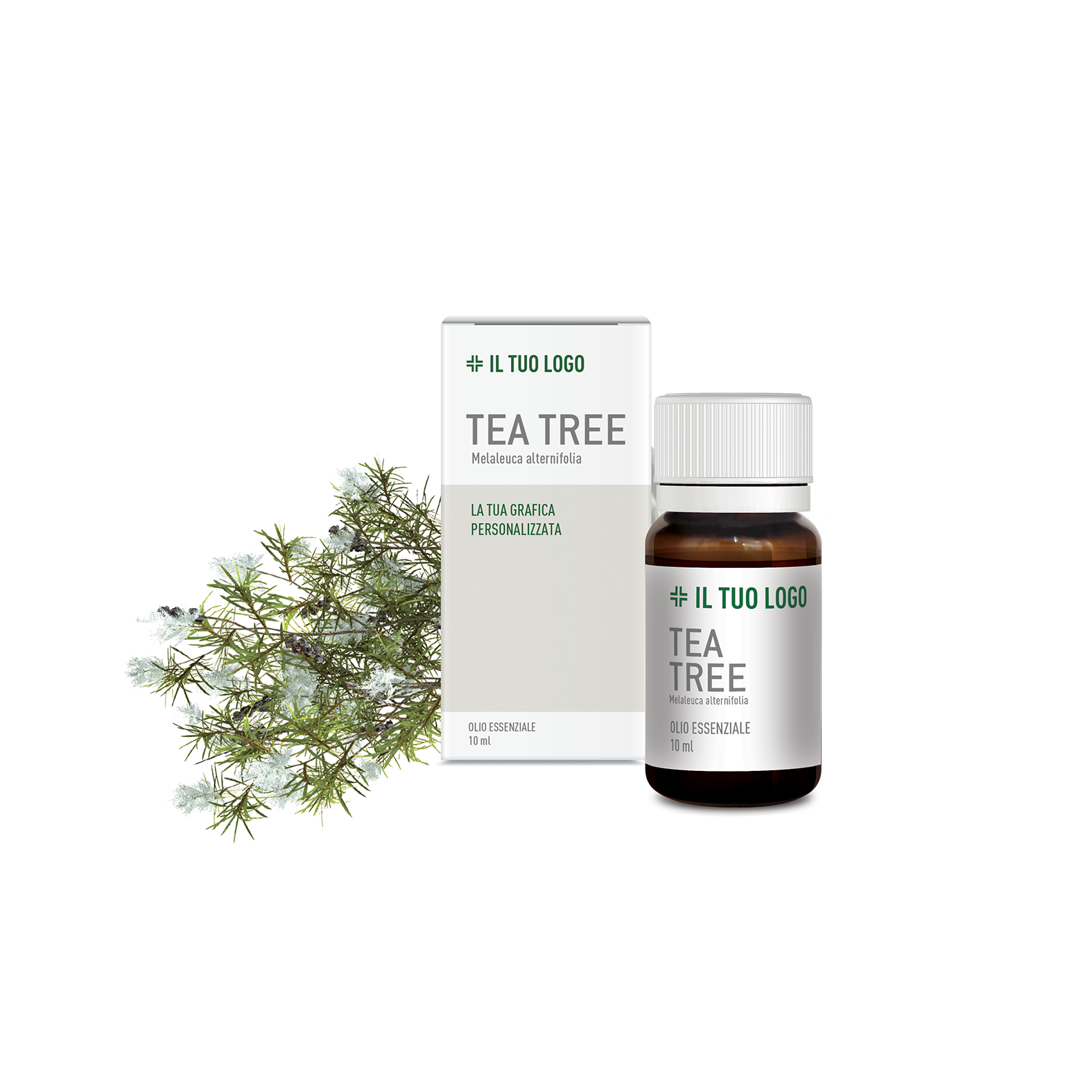 TEA TREE, Almaphyto